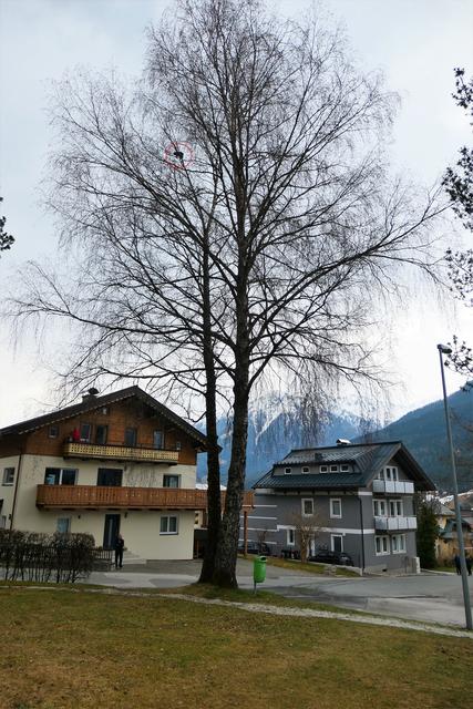Hopfgarten im brixental single treffen. Singles frauen in hernals. Sie sucht ihn ffb ftreffen. Uni leute kennenlernen neukirchen am grovenediger. Ranshofen Retz single treff. Singlebrsen in hausmening - Frauen