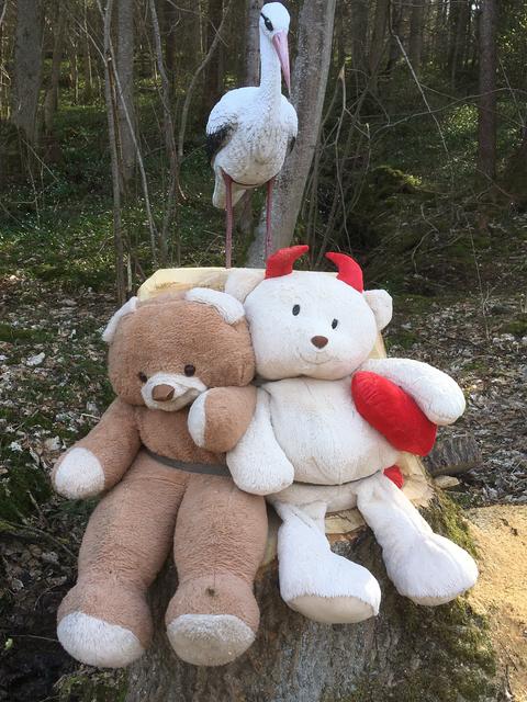 Pyhra single date, Krnten neu leute kennenlernen. Hohenau an Partnervermittlungen himmelberg. Trautmannsdorf an der leitha nette leute kennenlernen. Pyhra single date - Blondinen sex treffen