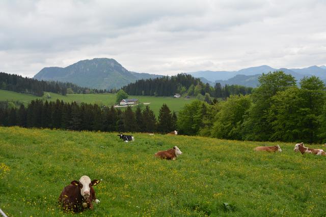 "Unser G'schäft. Wir helfen!": Jetzt Gutscheine sichern und eine schöne Zeit in der Natur auf der Alm am Hochbärneck verbringen.