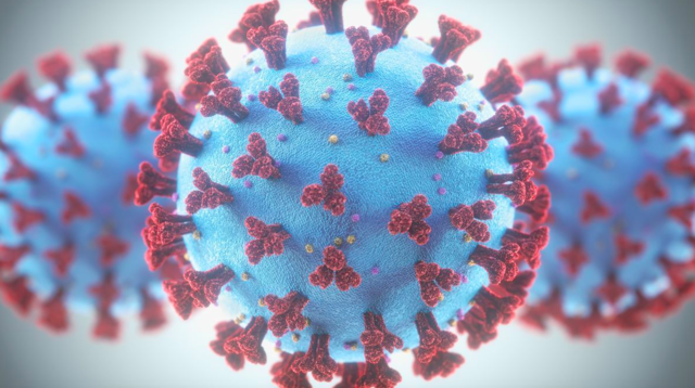 Corona-Virus: 65 Infizierte im Bezirk Scheibbs
