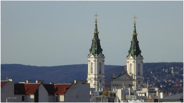 Pfarre Maria Treu in der Josefstadt