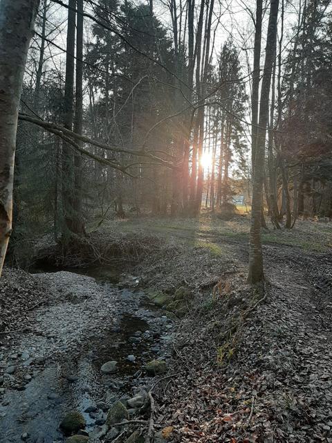 Ein Spaziergang, ein gutes Buch, garteln: All das hilft in Zeiten von Corona, die Psyche zu stärken und hält außerdem fit.