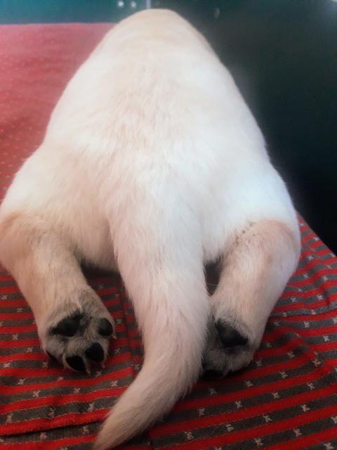 Foto: Elisabeth Färbinger