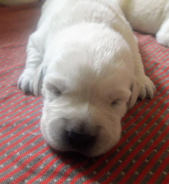 Foto: Elisabeth Färbinger