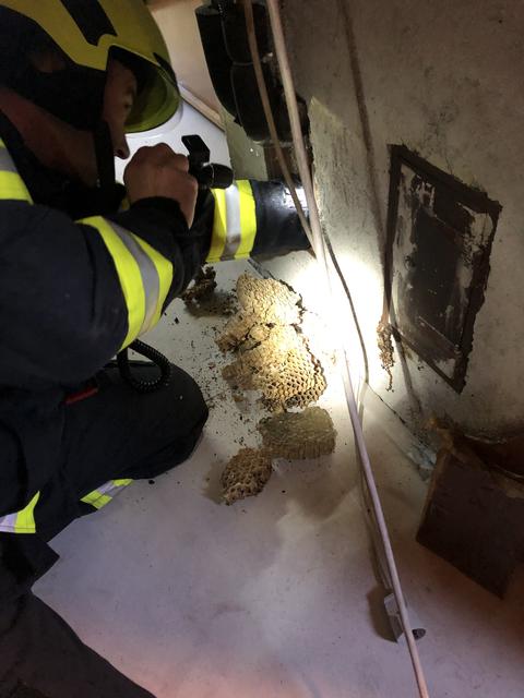 Das Hornissennest dürfte durch den Funkenflug eines benachbarten Kamins Feuer gefangen haben.
