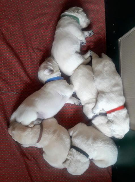 Foto: Elisabeth Färbinger