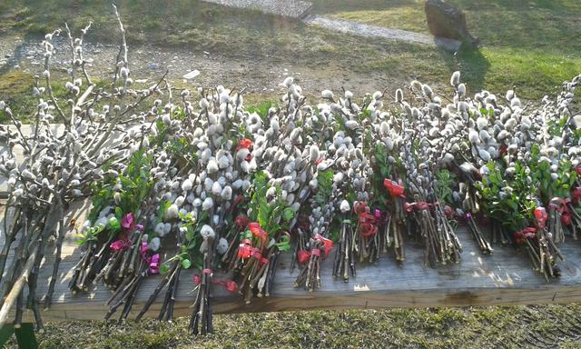 Ab Palmsonntag Mittag liegen in Voitsberg gesegnete Palmzweige zur freien Entnahme auf.