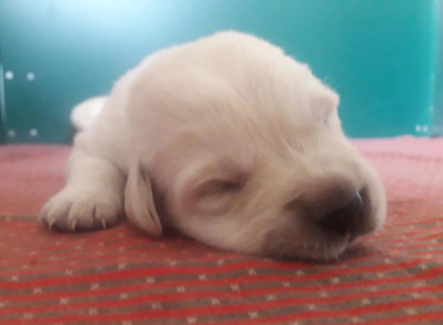 Foto: Elisabeth Färbinger