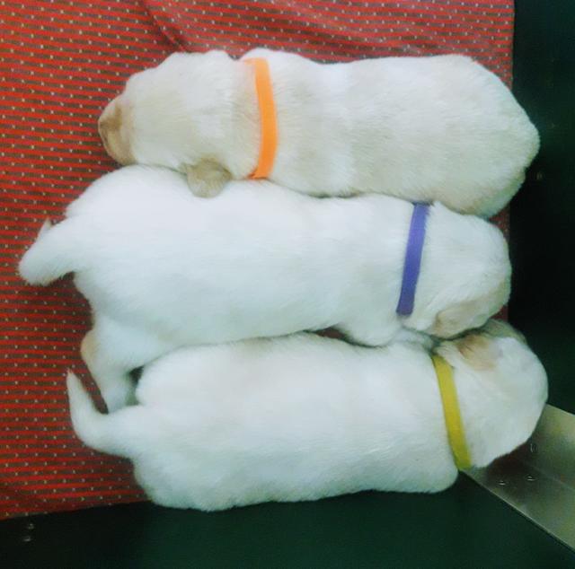 Foto: Elisabeth Färbinger