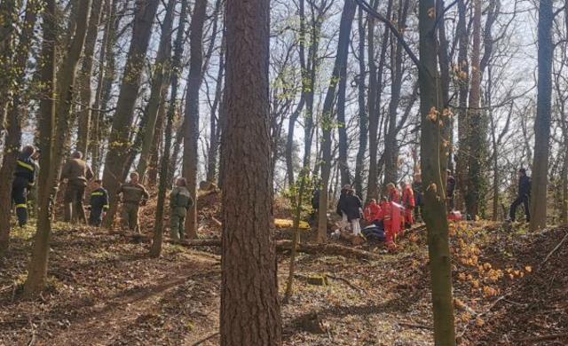 Einsatz im Wald in Reidling.