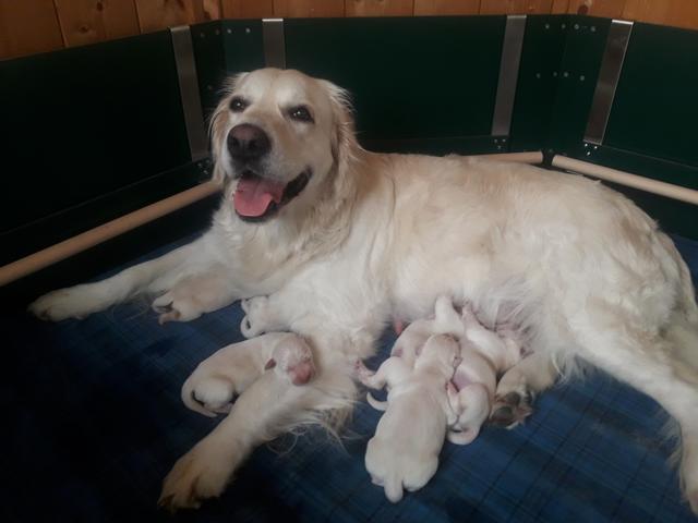 Foto: Elisabeth Färbinger