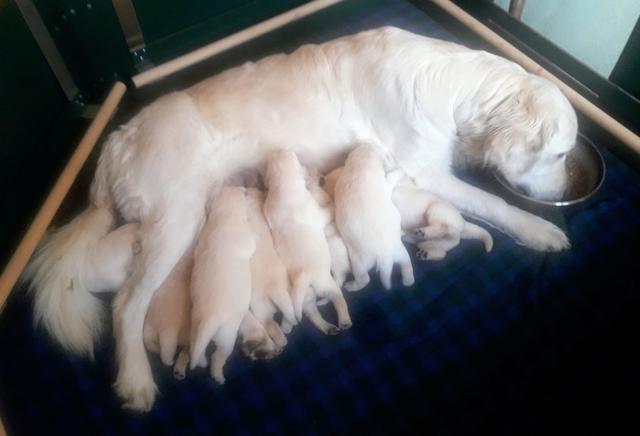 Foto: Elisabeth Färbinger