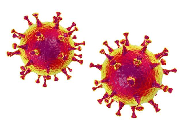 Corona-Virus: 87 Infizierte im Bezirk Scheibbs