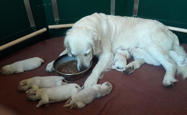 Foto: Elisabeth Färbinger