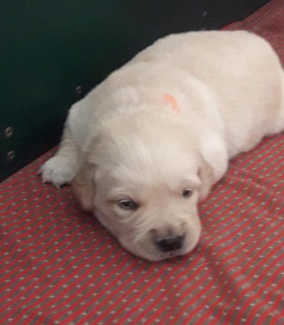 Foto: Elisabeth Färbinger