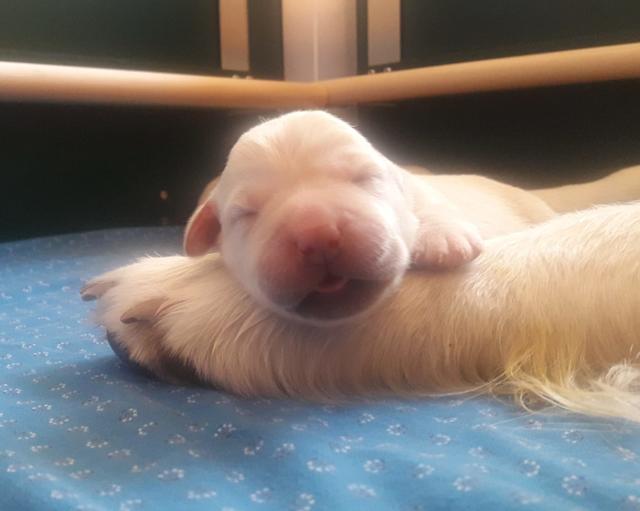 Foto: Elisabeth Färbinger