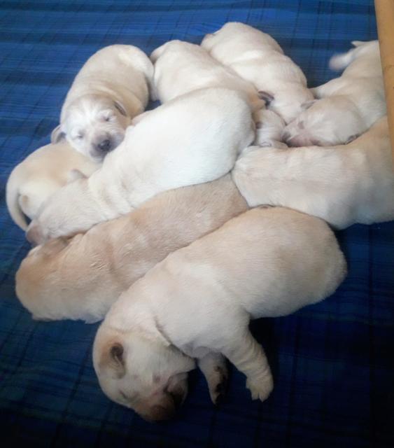 Foto: Elisabeth Färbinger