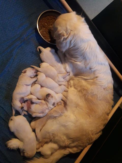 Foto: Elisabeth Färbinger