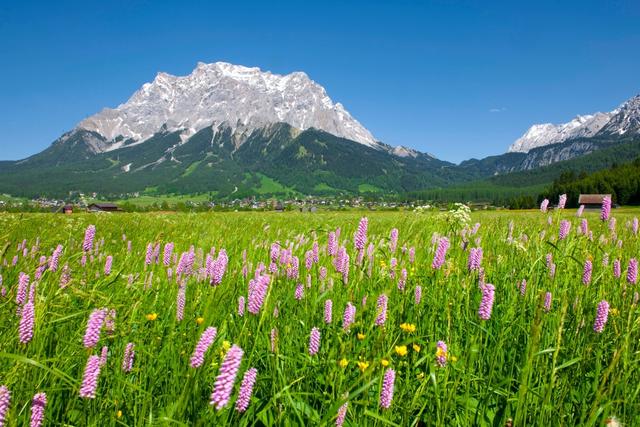 Rund um die Zugspitze formiert sich eine Kooperation zum Thema Landwirtschaft und Tourismus.