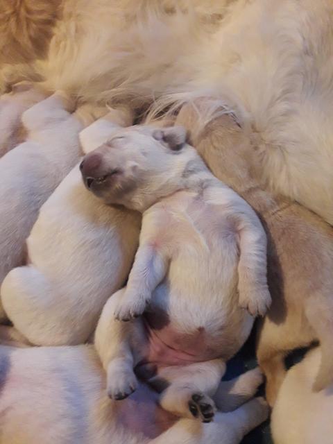 Foto: Elisabeth Färbinger