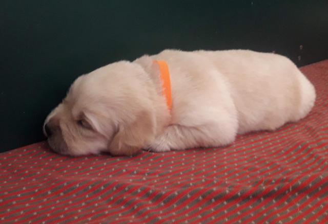 Foto: Elisabeth Färbinger