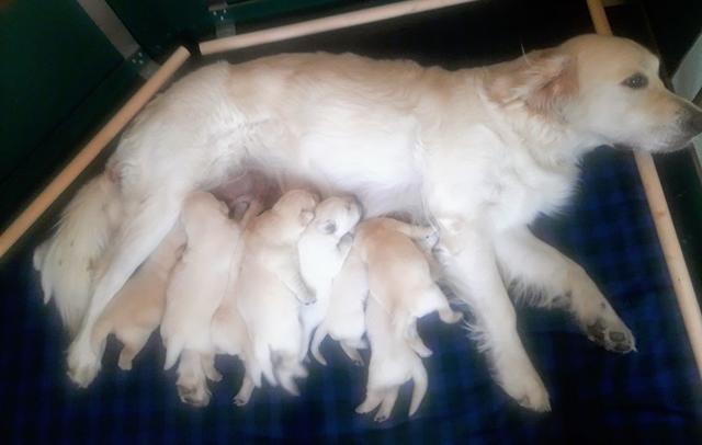 Foto: Elisabeth Färbinger