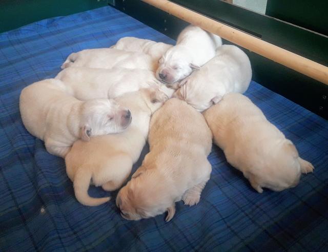 Foto: Elisabeth Färbinger