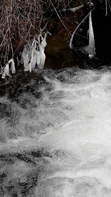 Spuren der frostigen Nacht...