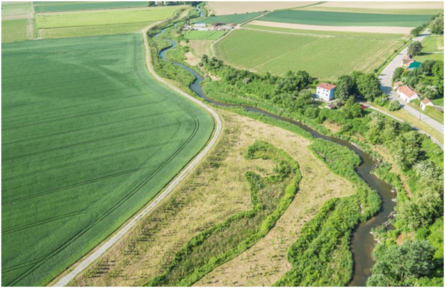 Durch den Umbau der Großen Tulln im Maßnahmenbereich von Judenau konnten in diesem Abschnitt essentielle Teillebensräume sowohl für die Reproduktion als auch für die Juvenilstadien der meisten Fischarten wiederhergestellt bzw. auch quantitativ vermehrt werden.  | Foto: ezb - TB Eberstaller GmbH