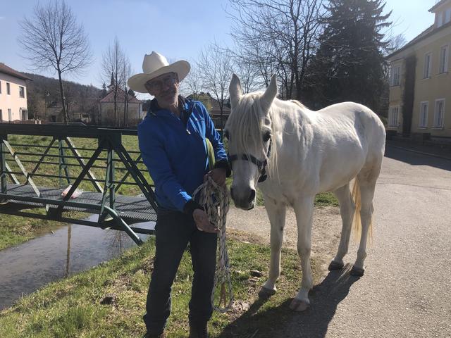 Richard Volek aus Innermanzing beim Pferd Muffinky,