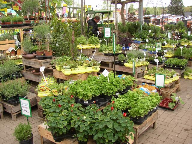 Auf Grund der gesetzlichen Vorgaben läuft der Pflanzenverkauf bei vielen Gartenbaubetrieben derzeit auf Selbstbedienungsbasis.