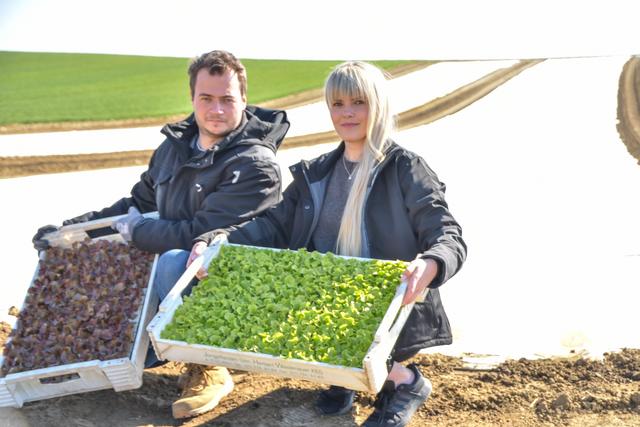 Michael Herzog und Freundin Jessica Stolarczyk bauen nur Bio-Salat und Bio-Radieschen an.
