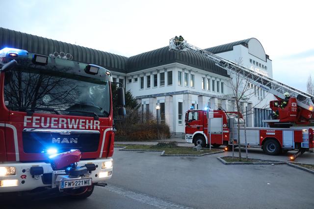 Großes Aufgebot für ein kleines Wesen.