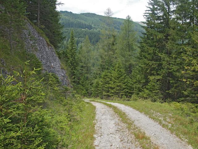 Forststraße in den Fischbacher Alpen | Foto: Ökoteam/Brunner