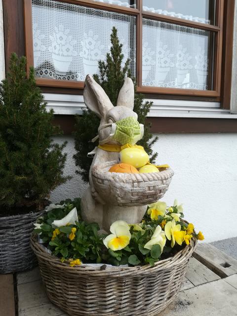 Osterhase mit farblich abgestimmter Schutzmaske, die sich perfekt dem Farbensemble anpasst ...