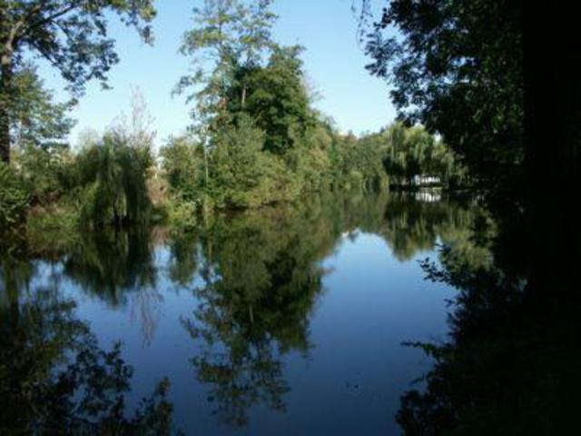 Natur pur: Das Flussbett der Thaya ist belebt.