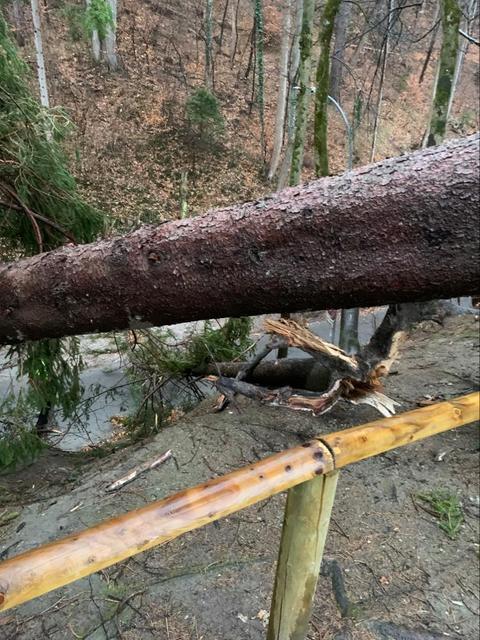 Ein Sturm verursachte am Judenbühel schwere Schäden und machte Sanierugnsarbeiten der Stadt nötig.