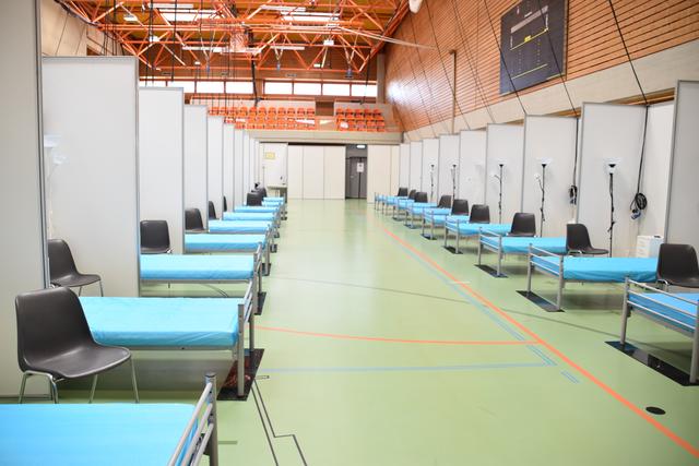 Foto: Angelika Illedits