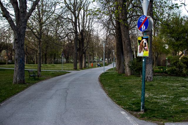 ..gestern am späten Nachmittag, der Schloßpark in Schwechat ist fast menschenleer.....