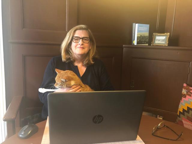 Bezirkschefin Susanne Schaefer-Wiery arbeitet im Homeoffice in schnurrender Gesellschaft von Kater Johnny.