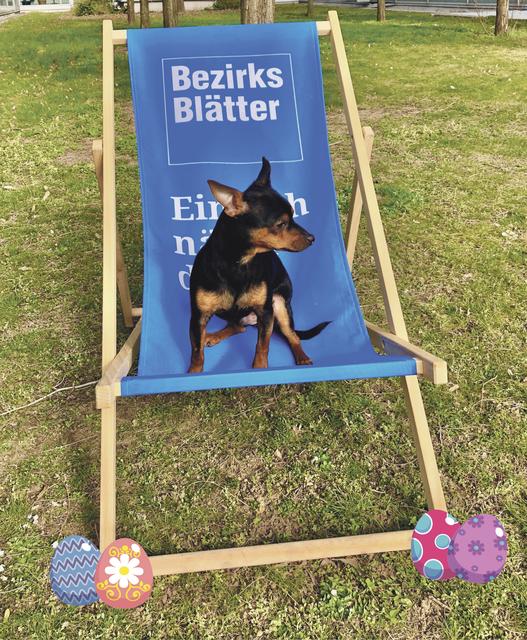 Diesen Liegestuhl könnt ihr gewinnen! (Ohne Hund und ohne Eier);)