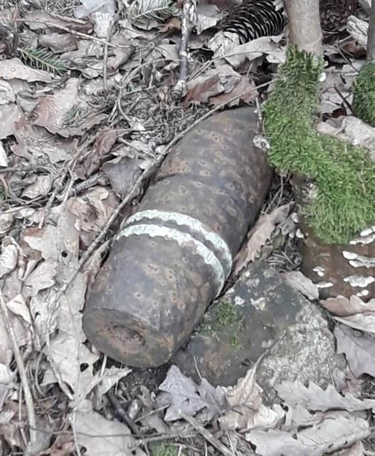 Diese Panzergranate fand ein Passant in einem Wald in Steinberg-Dörfl
