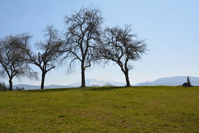 Der Ötscher offenbart sich beim Bauernhof "Mieselmais" in seiner ganzen Pracht.