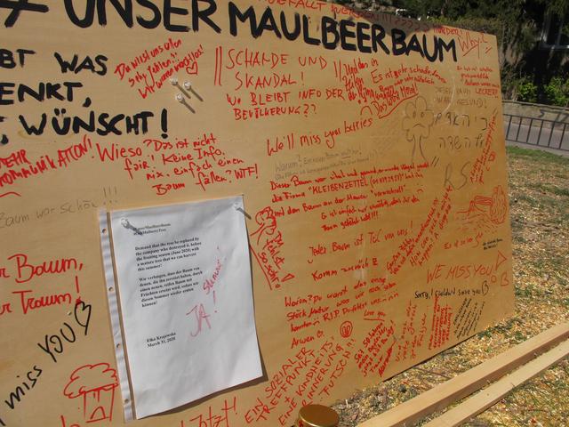 Vor Ort haben Anrainer ein Schild aufgestellt, um an den Baum zu erinnern und ihren Ärger auszudrücken. | Foto: Regina Stierschneider