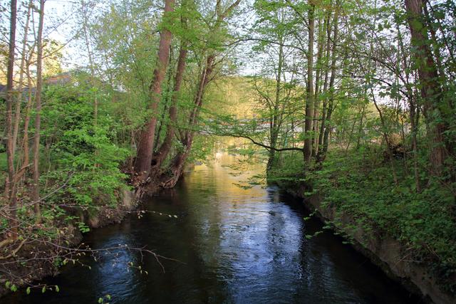 Der Kamp darf wilder werden. Renaturierung will natürlichere Strukturen zurückholen.