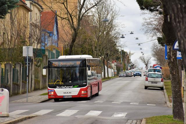 Eine wichtige Linie für Währing: Der Bus 42A verbindet Hernals mit der Schafberghöhe im 18. Bezirk.