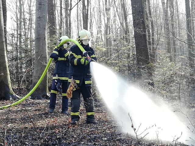 Das Löschwasser wurde über eine zwei Kilometer lange Schlauchleitung zum Einsatzort gepumpt.