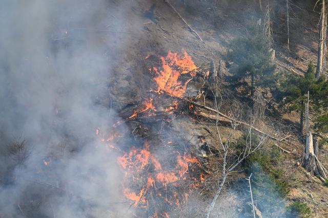 Foto: zeitungsfoto.at