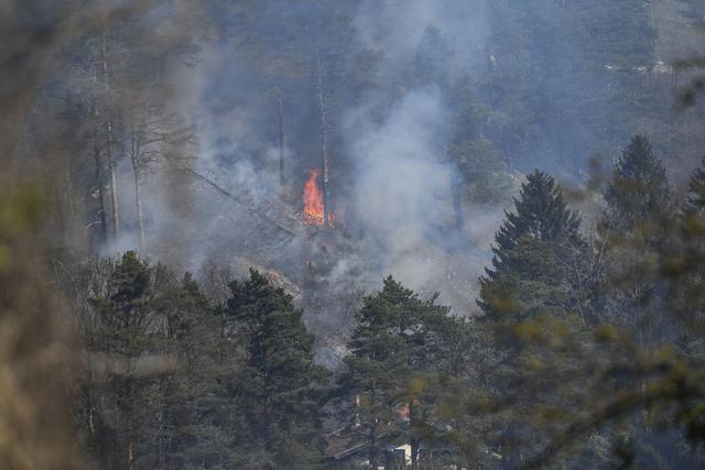 Foto: zeitungsfoto.at