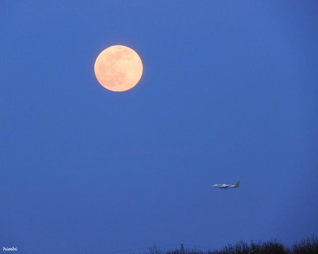 Für Astronomie-Feinschmecker hat der Nachthimmel endlich mal wieder einen Supermond im Angebot! Bestaunen können ihn Himmelsgucker heute Abend – Montag, den 9. März 2020. Das Foto entstand in Ebergassing zur blauen Stunde um 17.58 Uhr mit einem Flugzeug, welches sich auf dem Landeanflug zum Flughafen Schwechat befindet